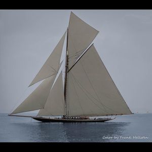 Meet your Posher, Paula